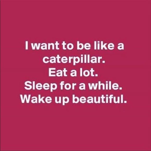 Meet your Posher, Carol! Make an offer!! - Picture 5 of 8